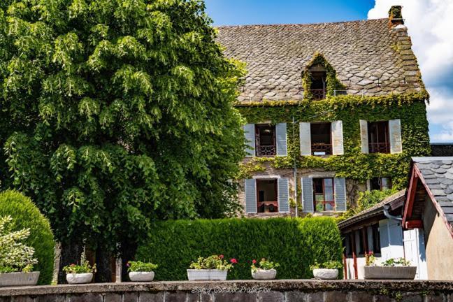 Les Tilleuls Besse-et-Saint-Anastaise Exterior photo